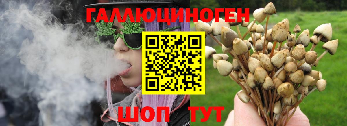 Псилоцибиновые грибы ЛСД Десногорск